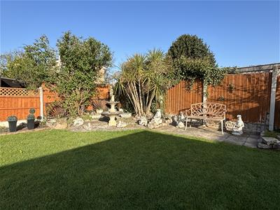 Picture 19